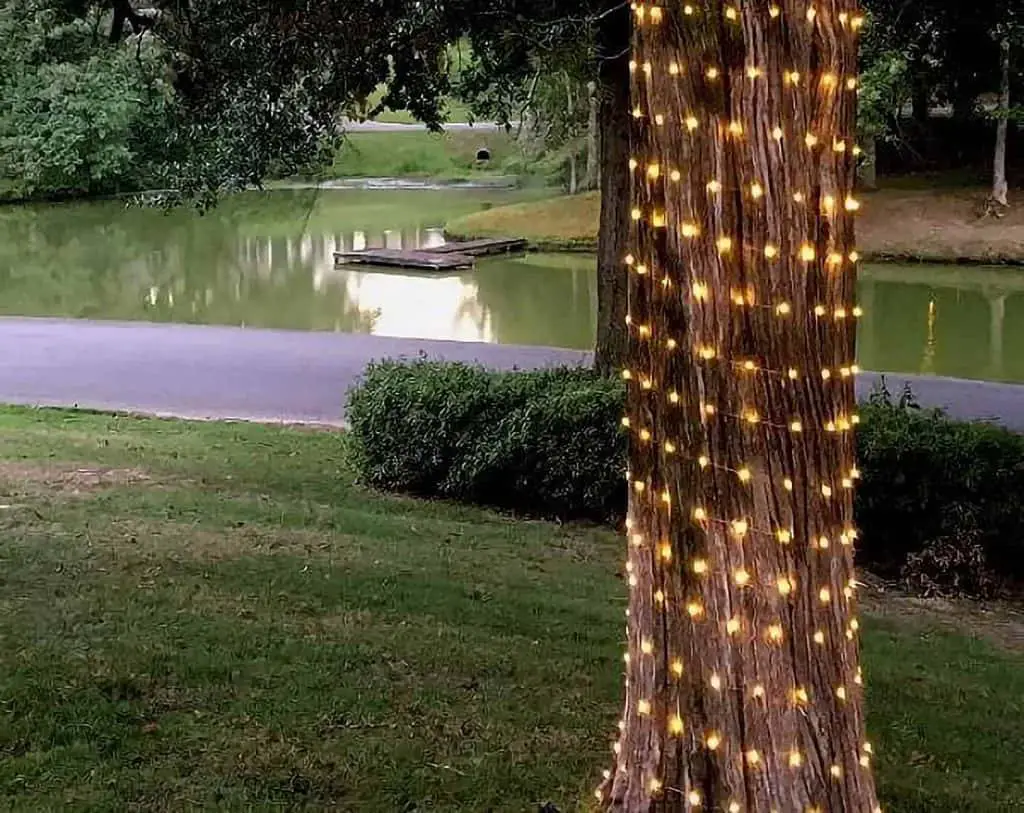 Foto di una catena di luci per albero di natale in giardino