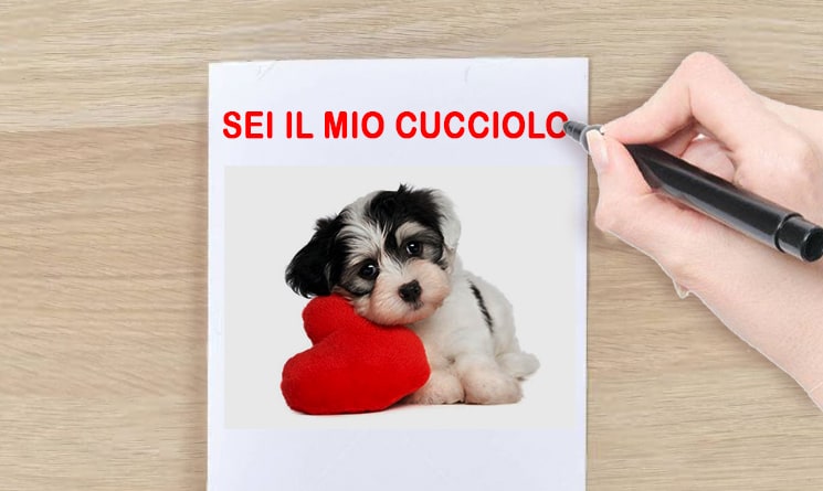 Biglietto di San Valentino fai da te - Scrivi Augurio e intestazione