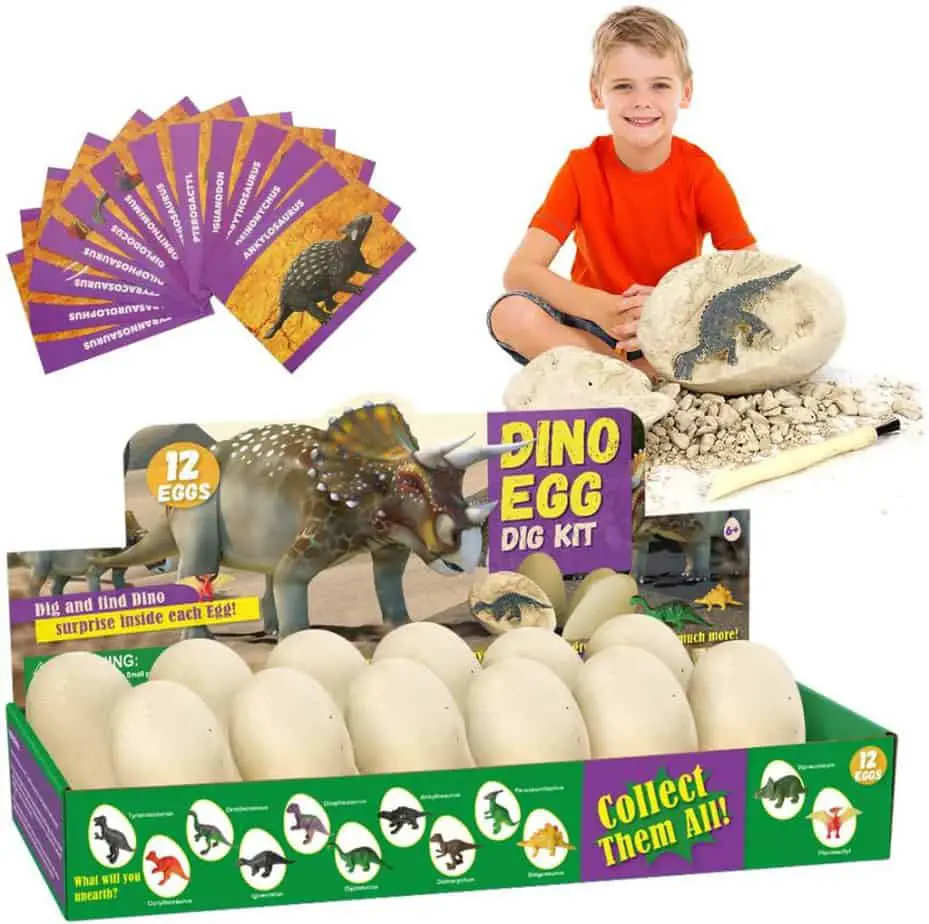 uova di dinosauro fossili - idea regalo per bambino