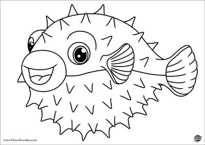 Pesce palla - pesce esotico da colorare per bambini