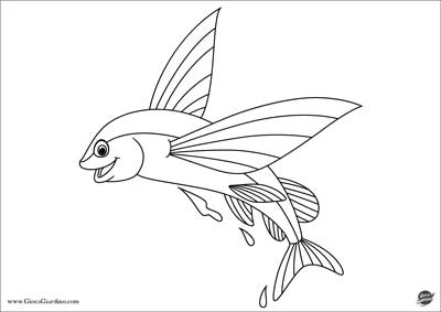 pesce volante da colorare per bambini
