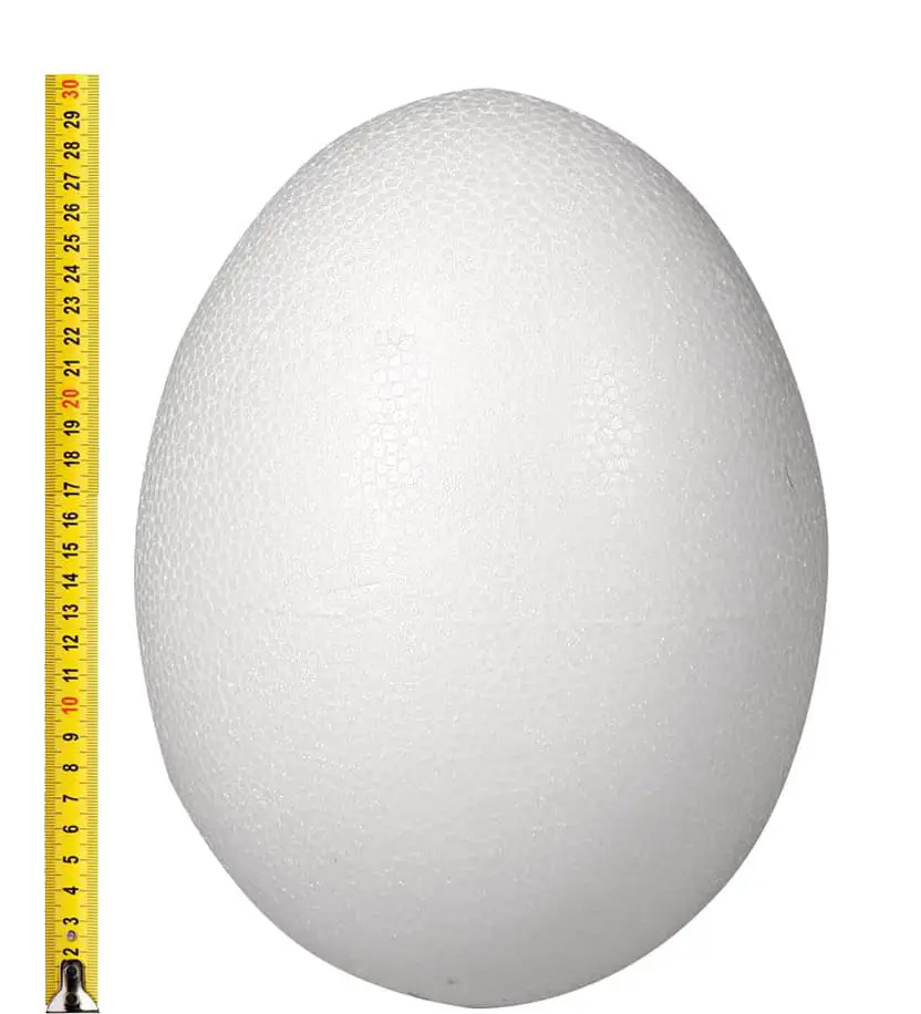 uovo in polistirolo da 30 cm