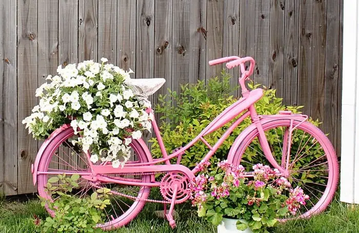 vecchia bicicletta con fiori per abbellire il giardino