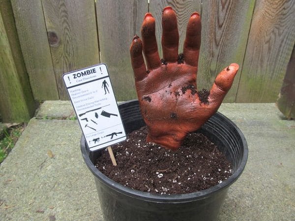 Mano di uno Zombie che esce da un vaso con calco in gesso - decorazione Halloween
