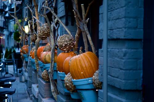 Zucche dentro i vasi con catena di luci LED - decorazione giardino Halloween