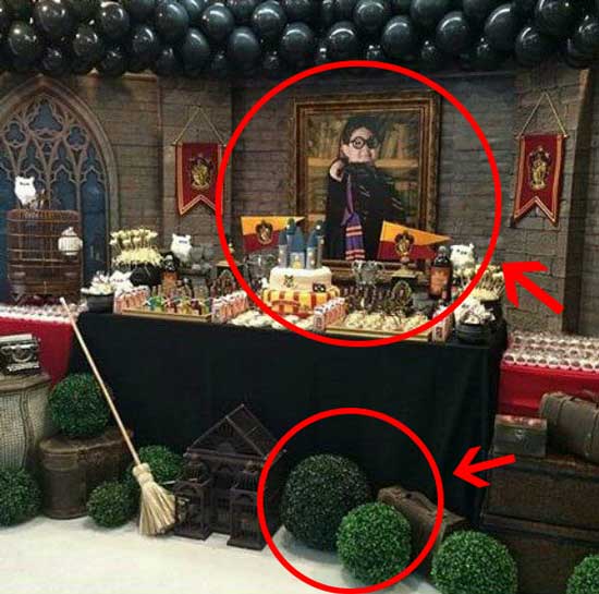 Festa a tema Harry Potter fai da te - con cespugli sferici e quadro con festeggiato