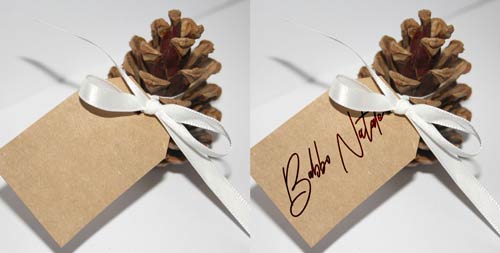 Pigne con targhetta ed adesivo di Babbo Natale - decorazione con pigna fai da te per albero di Natale