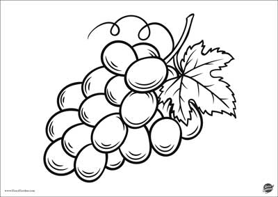 grappolo di uva - simbolo del vino  -disegno comunione da stampare e colorare gratis
