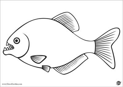 pesce piranha - pesce esotico da colorare per bambini