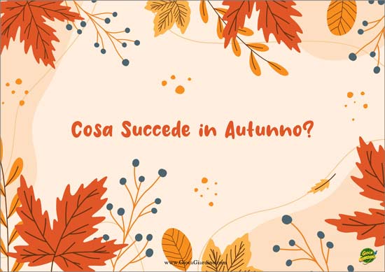 Cosa succede in autunno -spiegare l'autunno ai bambini