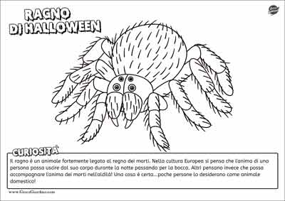 Ragno - disegno da colorare per bambini a tema halloween