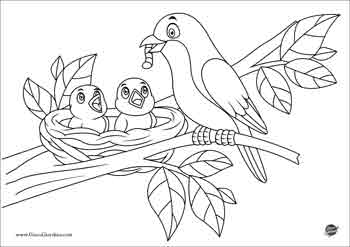 disegno da colorare di un uccello su un albero che sfama i passerotti con un verme