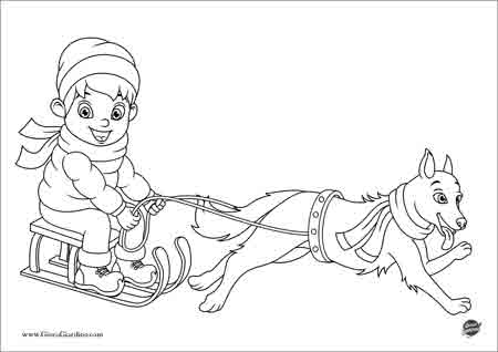 Disegno da colorare di un bambino che guida una slitta con un cane