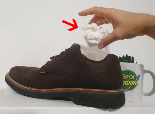 Scherzo da fare in casa - mano che mette della carta igienica in una scarpa
