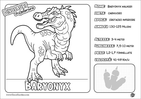 Disegno da colorare per bambini di un Baryonyx con nome e caratteristiche