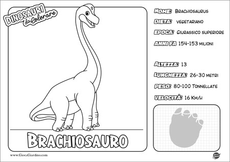 Disegno da colorare per bambini di un Brachiosauro con nome e caratteristiche