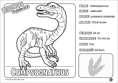 Disegno da colorare per bambini di un Compsognathus con nome e caratteristiche