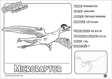 Disegno da colorare per bambini di un  Microraptor con nome e caratteristiche
