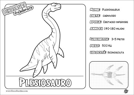 Disegno da colorare per bambini di un  Plesiosauro con nome e caratteristiche