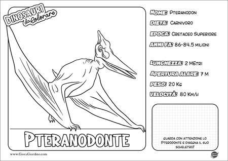 Disegno da colorare per bambini di uno Pteranodonte con nome e caratteristiche
