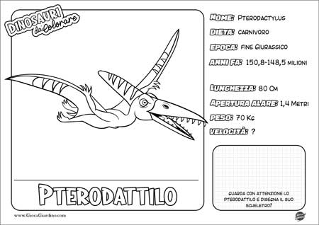 Disegno da colorare per bambini di uno Pterodattilo con nome e caratteristiche
