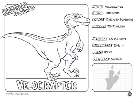 Disegno da colorare per bambini di un velociraptor con nome e caratteristiche