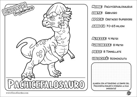 Disegno da colorare per bambini di un Pachicefalosauro con nome e caratteristiche