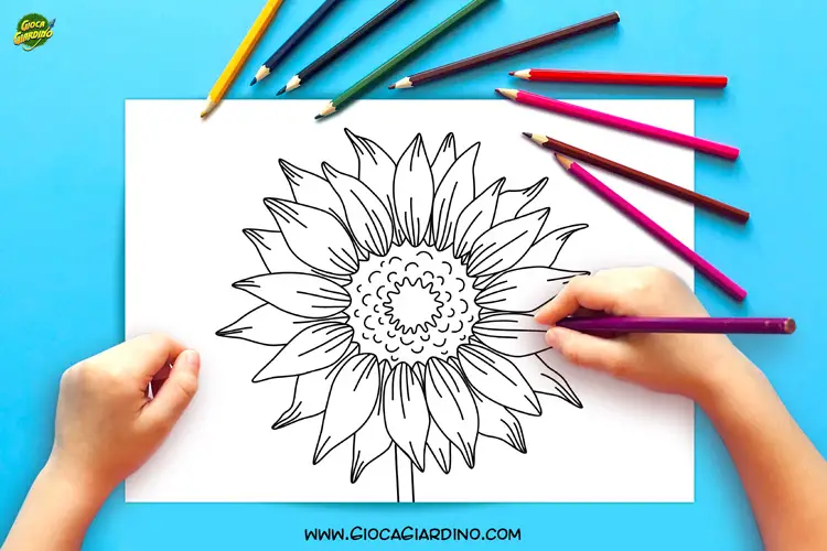 Fiori da Colorare | 25 Disegni in PDF da Stampare Gratis