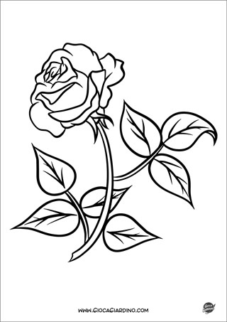Disegno di una rosa da colorare