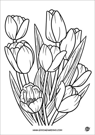 Disegni di Tulipani da colorare