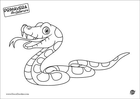 disegno da colorare di una vipera in primavera