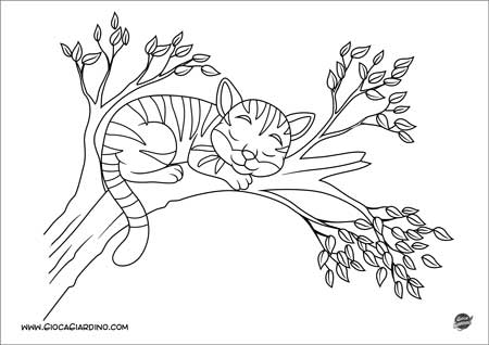 Gatto che dorme su un albero - disegno da colorare per bambini