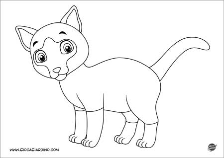 Gatto siamese - disegno da colorare per bambini