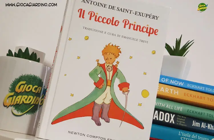 Il piccolo principe di Antoine de Saint-Exupéry - riassunto del libro