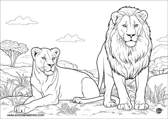 Disegno da colorare di un leone con una leonessa - realistico
