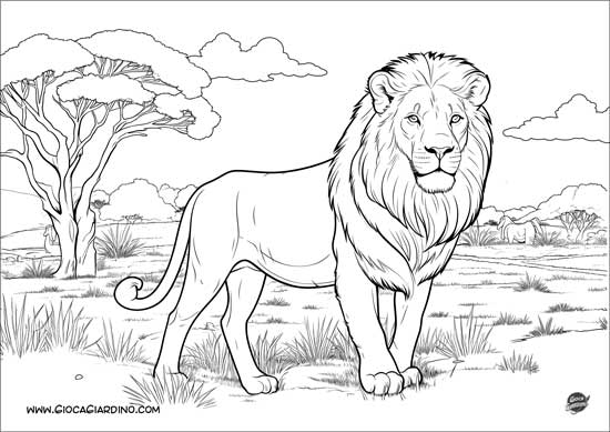 Disegno da colorare di un leone nella savana - realistico
