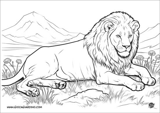 Disegno da colorare di un leone nella sdraiato - realistico
